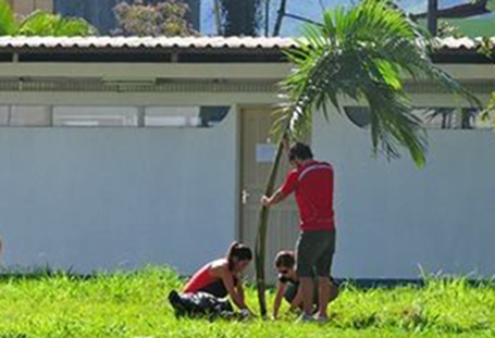 Preservação do meio ambiente em Angra